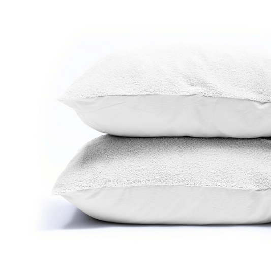 Zelesta Teddy Pillowcase Set Of 2 - White