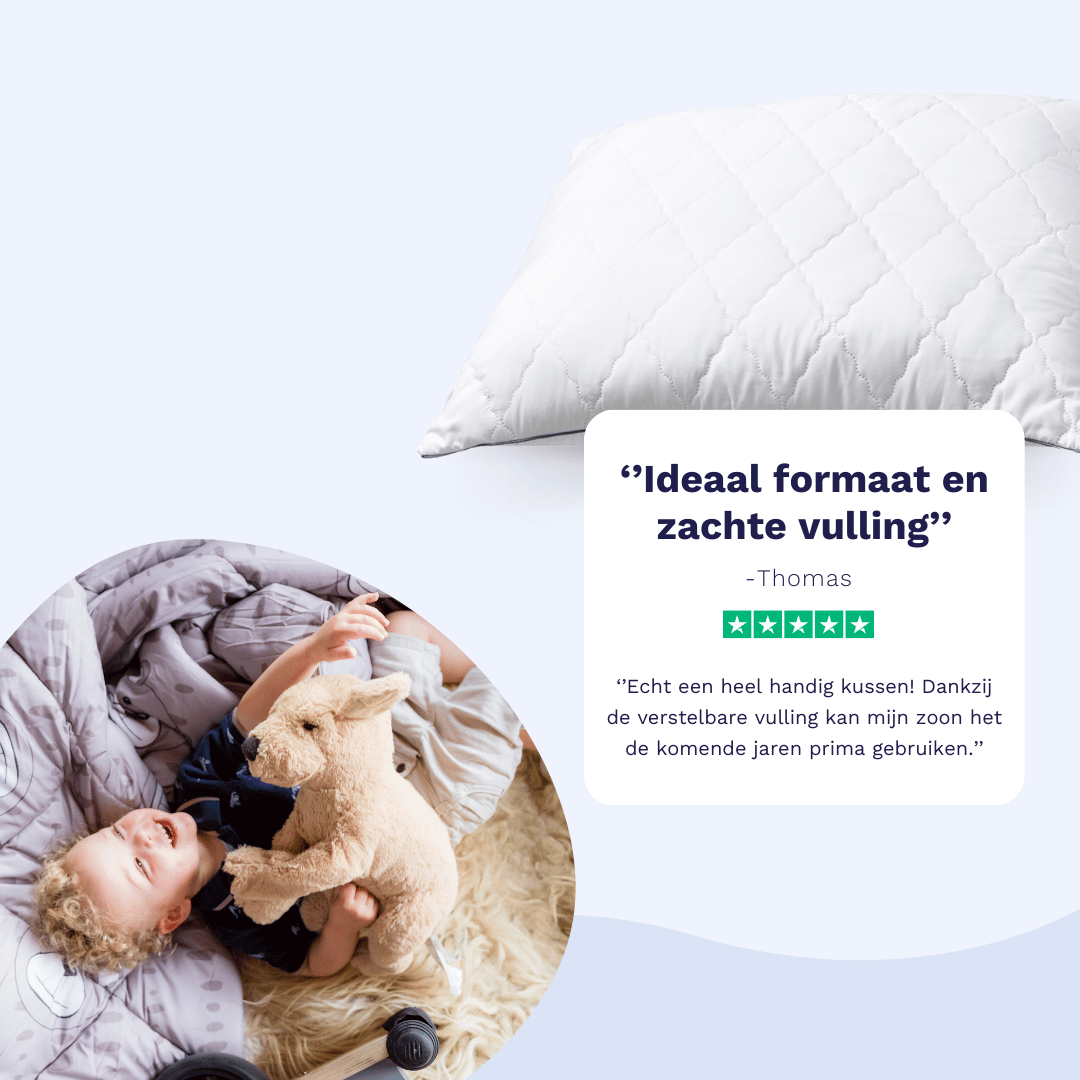 Zelesta Pillow 40X60Cm