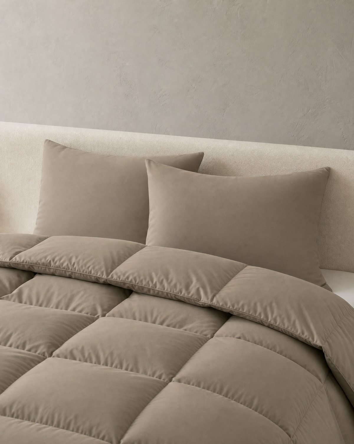Zelesta Comfort Uni Pillowcase Set Of 2 - Natural Taupe