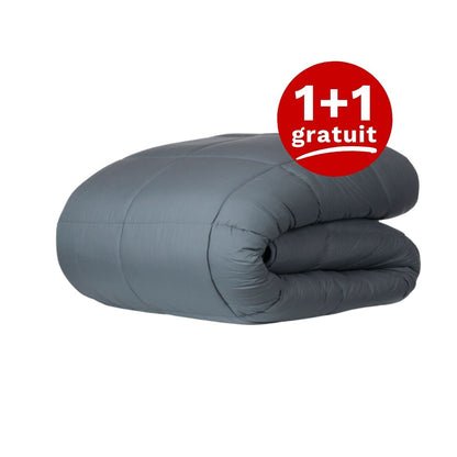 Zelesta Wonderbed -Gris