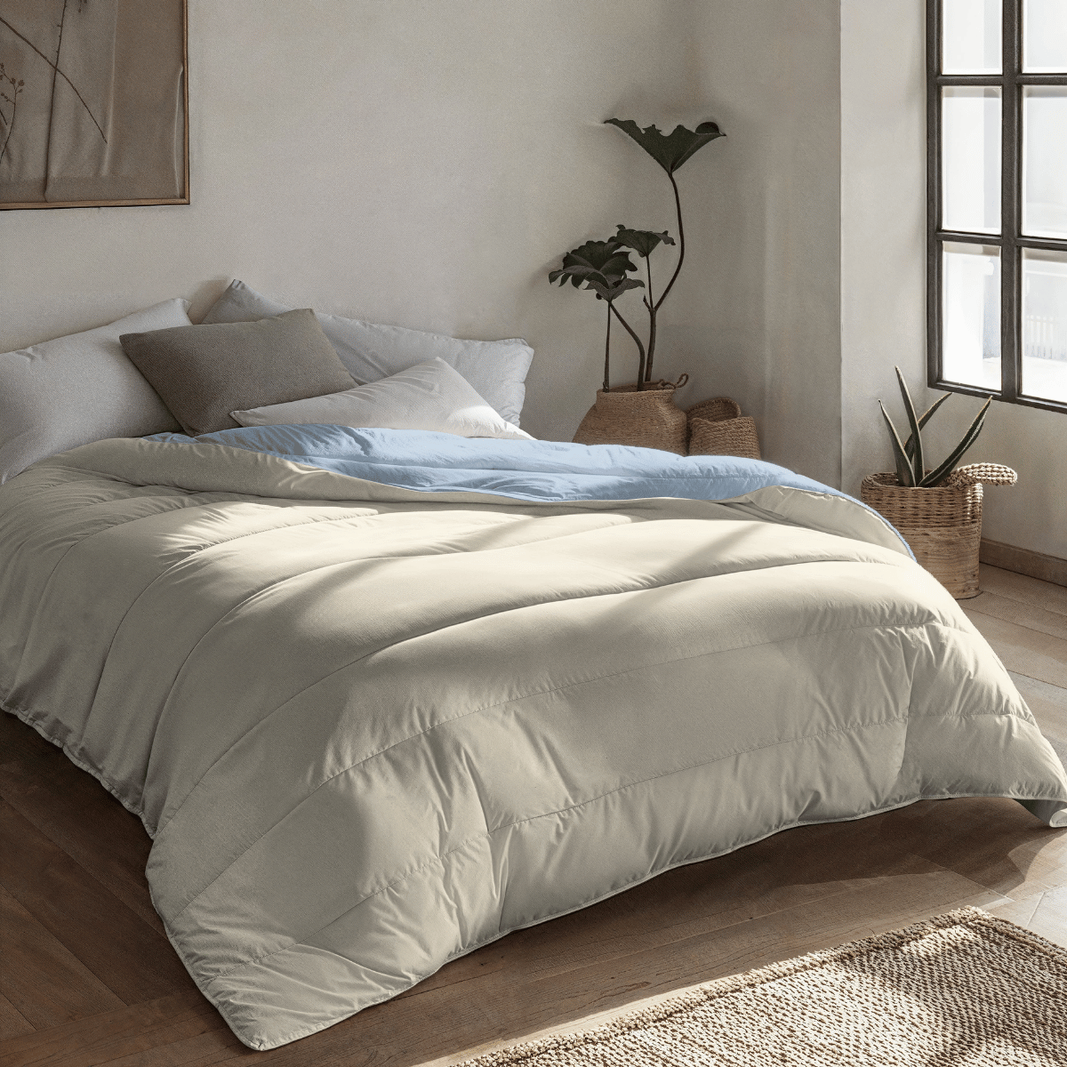 Zelesta Royalbed Light - Bluefog & Sand Beach 2