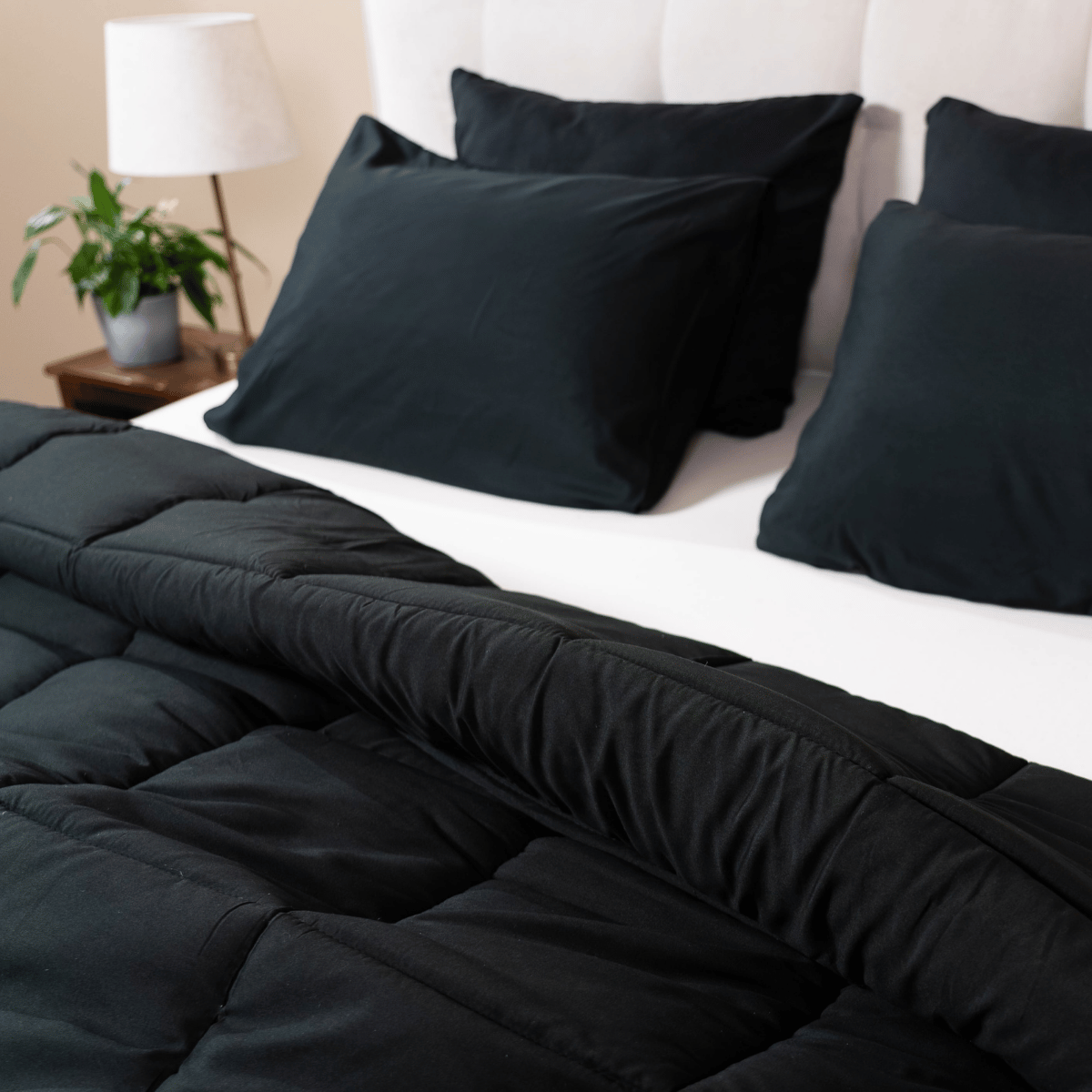 Zelesta Comfort Unie Taie d'Oreiller Lot de 2 - Noir
