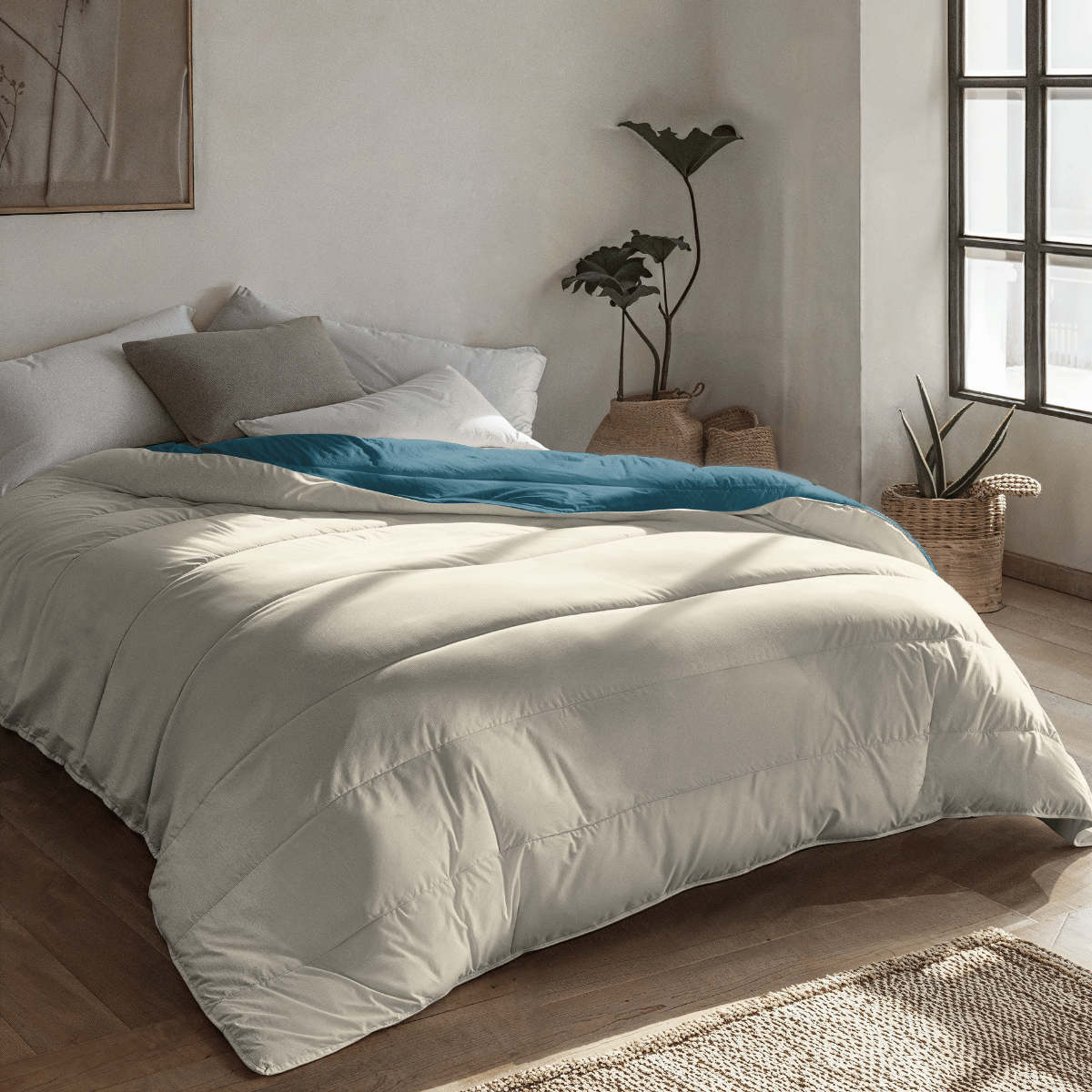Zelesta Royalbed Light - Petrol & Sand Beach 2