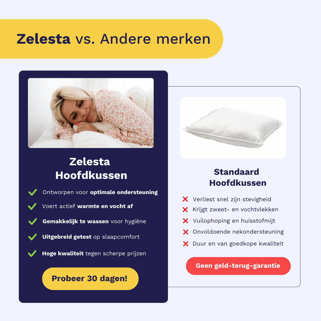 Zelesta Bamboo Pillow 60X70Cm image