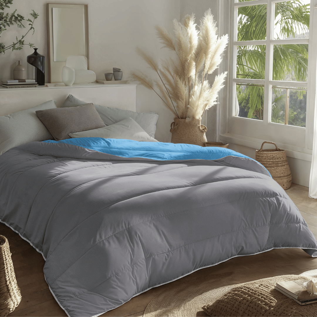 Zelesta Royalbed - Bleu et Anthracite