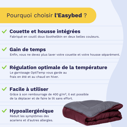 Easybed Zelesta - Violet & Anthracite