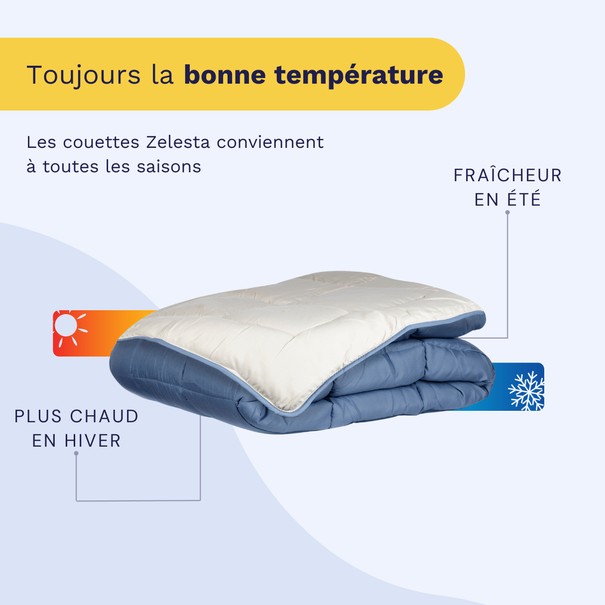 Zelesta Easybed - Bleu & Mastic