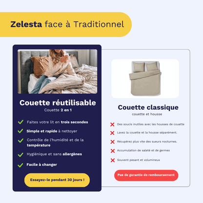 Easybed Zelesta - Violet & Anthracite