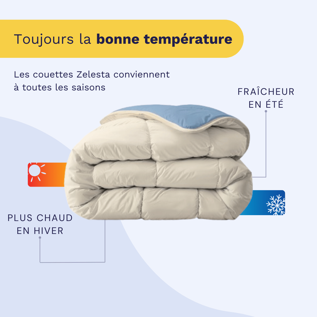 Zelesta Royalbed - Brume Bleue & Plage de Sable