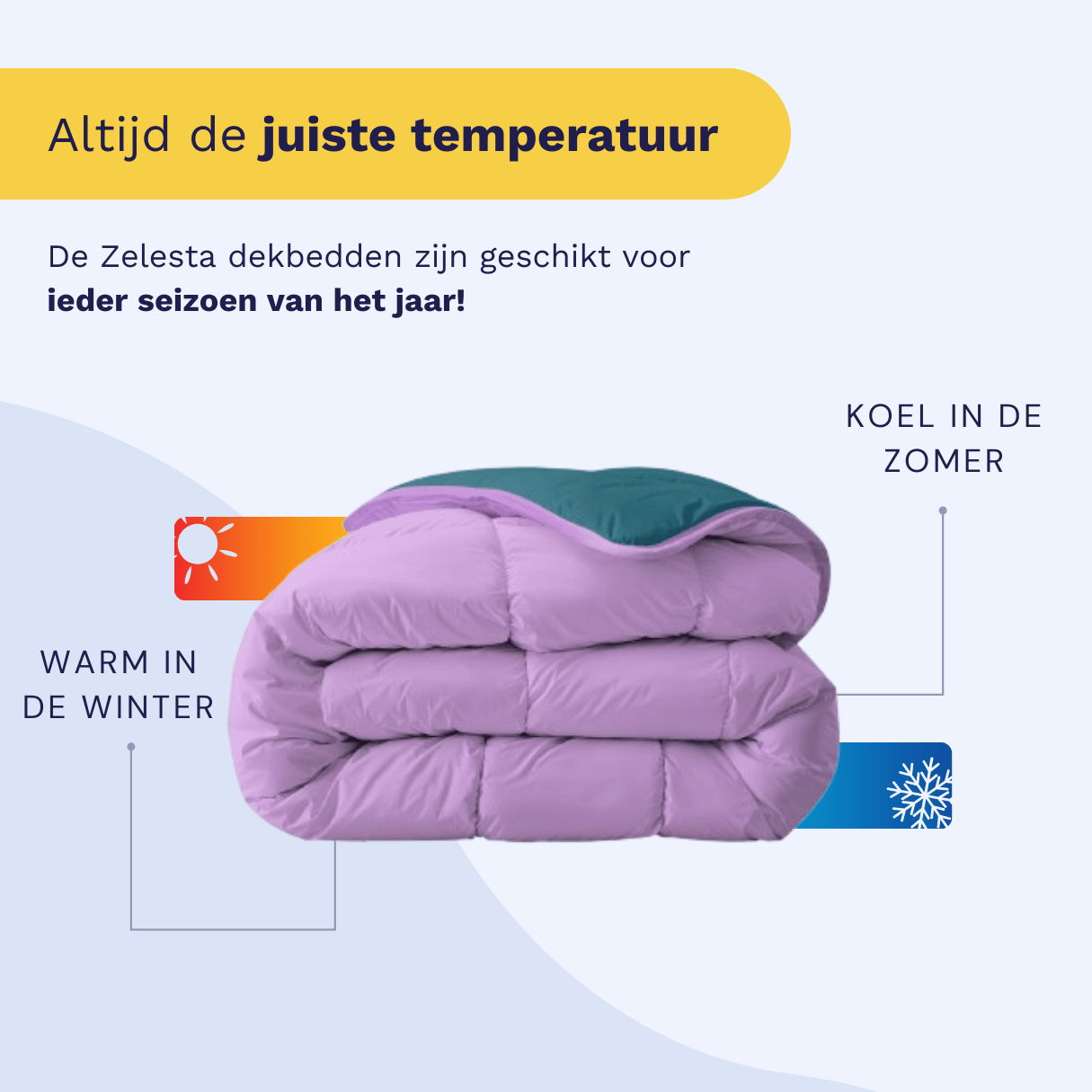 Zelesta Royalbed - Pétrole et Lilas