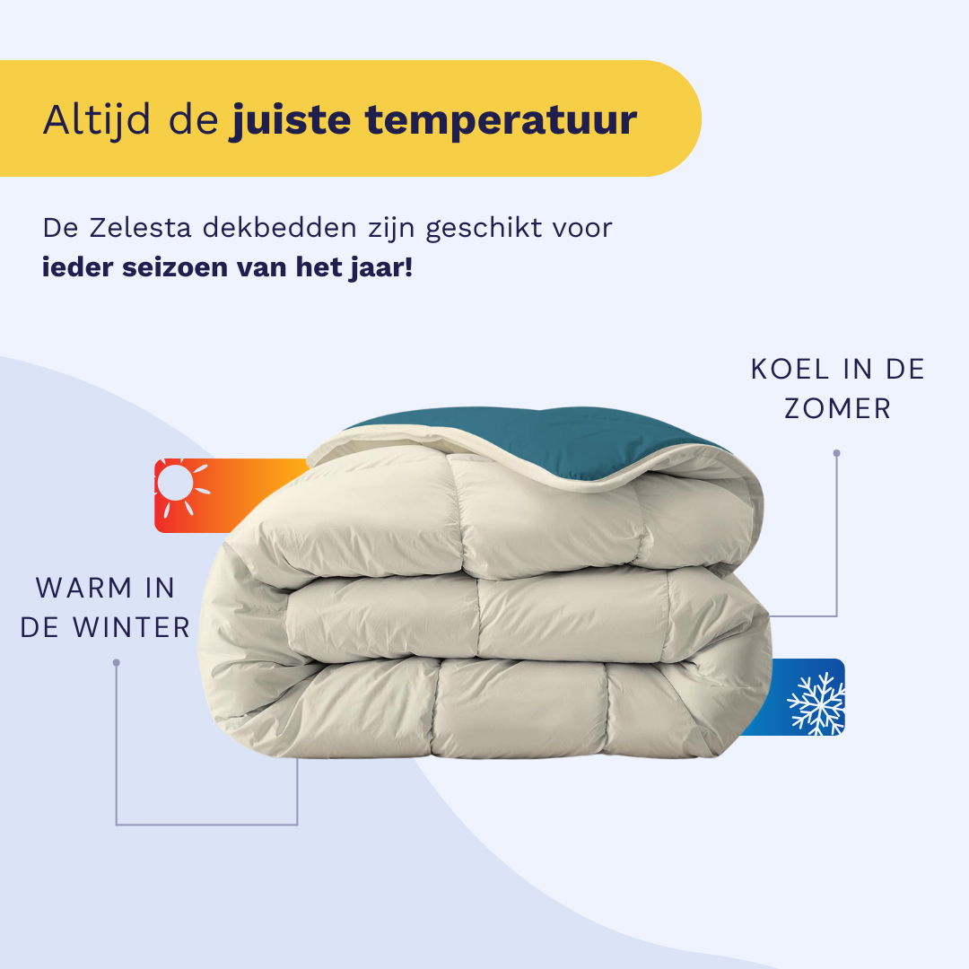 Zelesta Royalbed - Petrol & Plage de Sable
