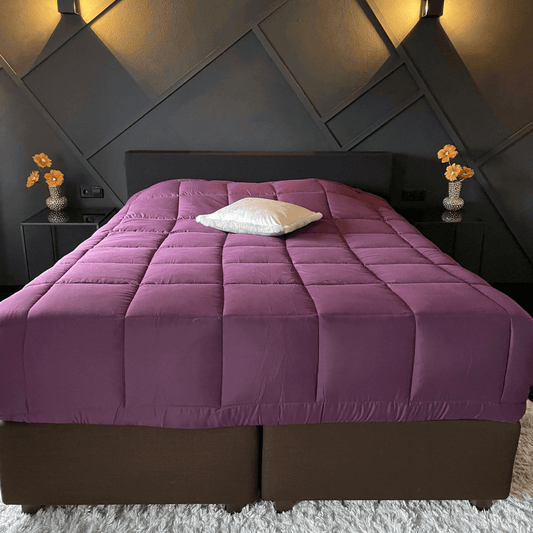 Zelesta Everyday Duo Couette - Violet & Anthracite